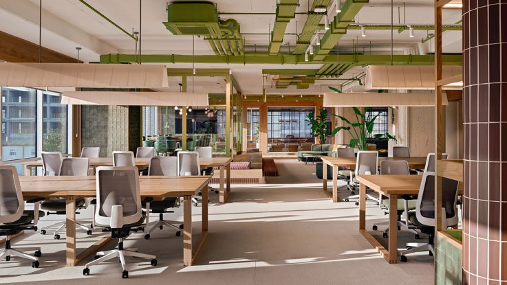 Geniş pencerelerden gün ışığı alan ferah ve çoklu çalışma istasyonları